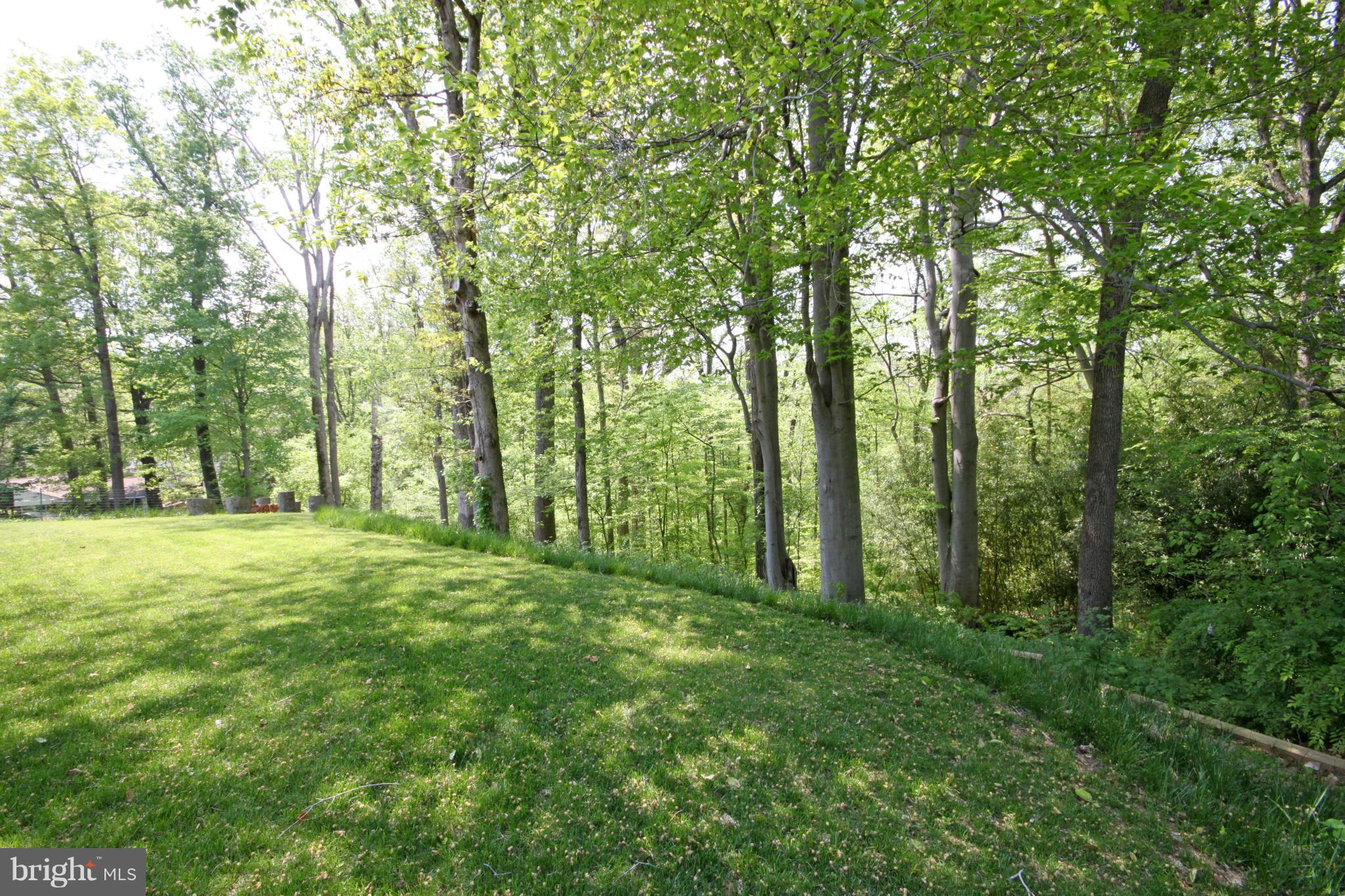 5420 Inverchapel Road Springfield, VA 22151 - Photo 26 of 29 a view of outdoor space with trees all around