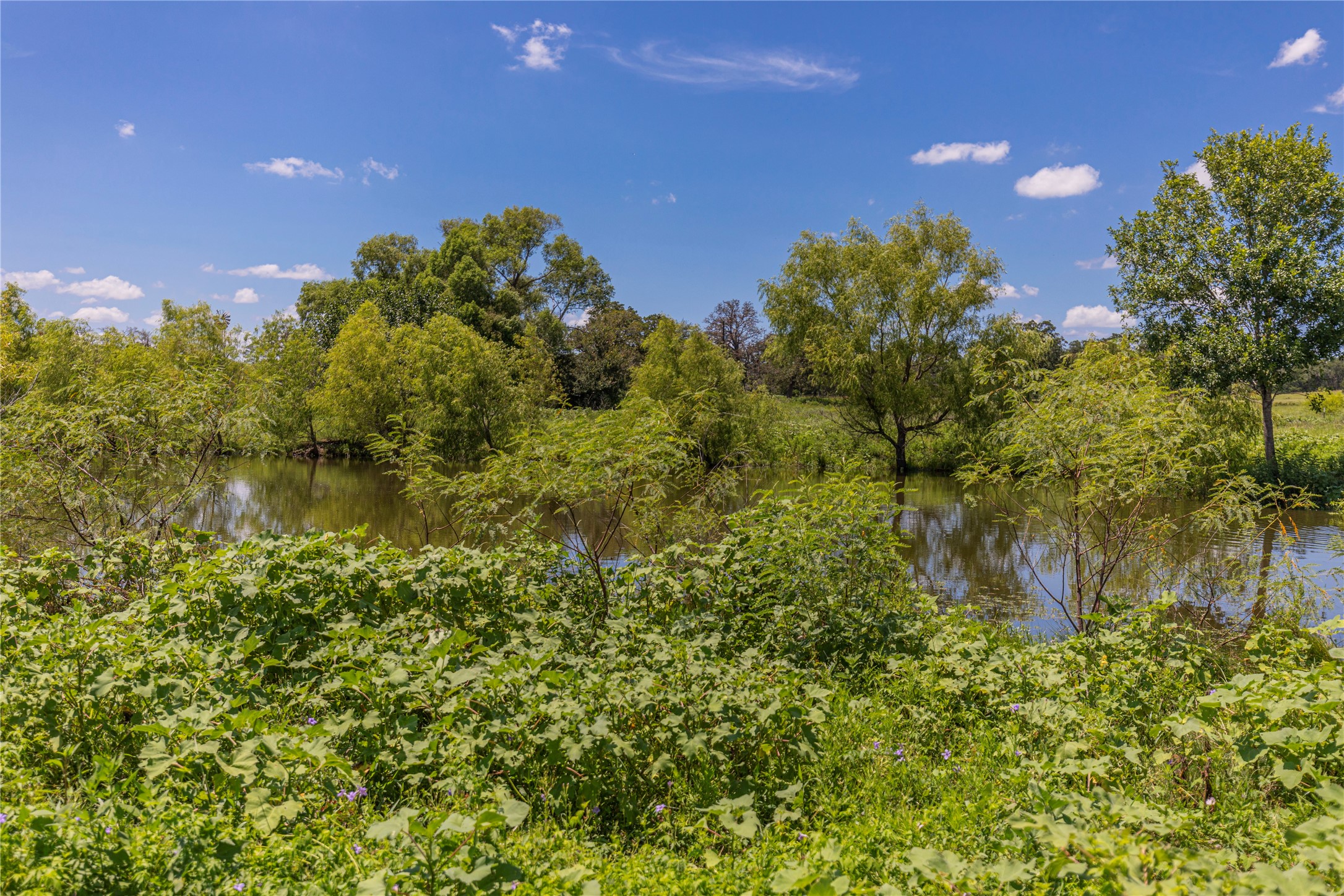 Lot 8 Mill Creek Ranch Road Bellville, TX 77418 - Photo 12 of 20
