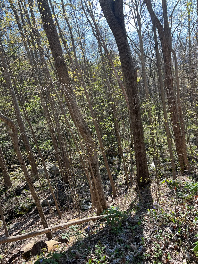 127.5 East River Mountain Road, Unit 22 Narrows, VA 24124 - Photo 23 of 39 Gallery Image 23