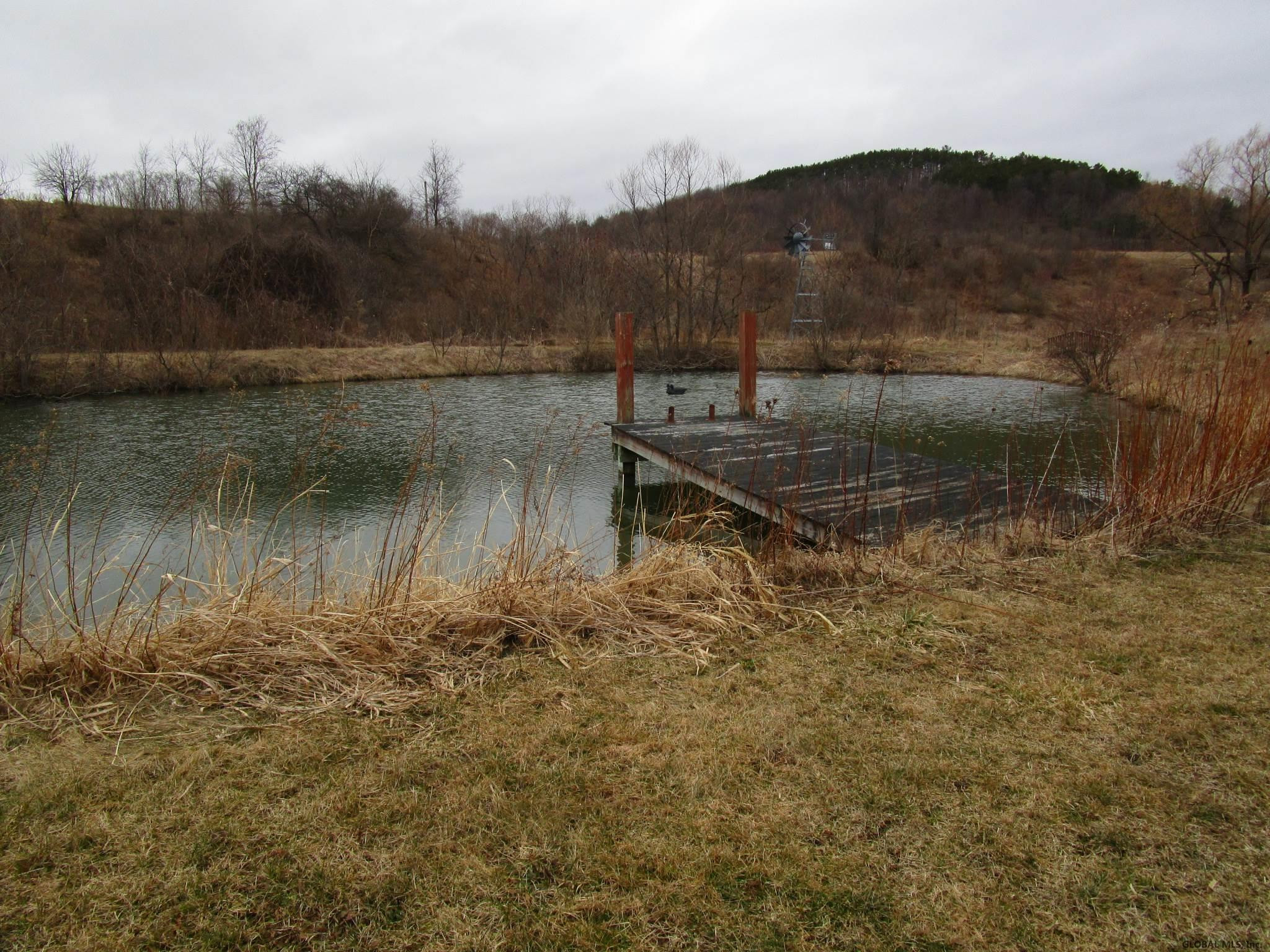 147 Fromire Road Seward, NY 12043 - Photo 23 of 26 Photo 23