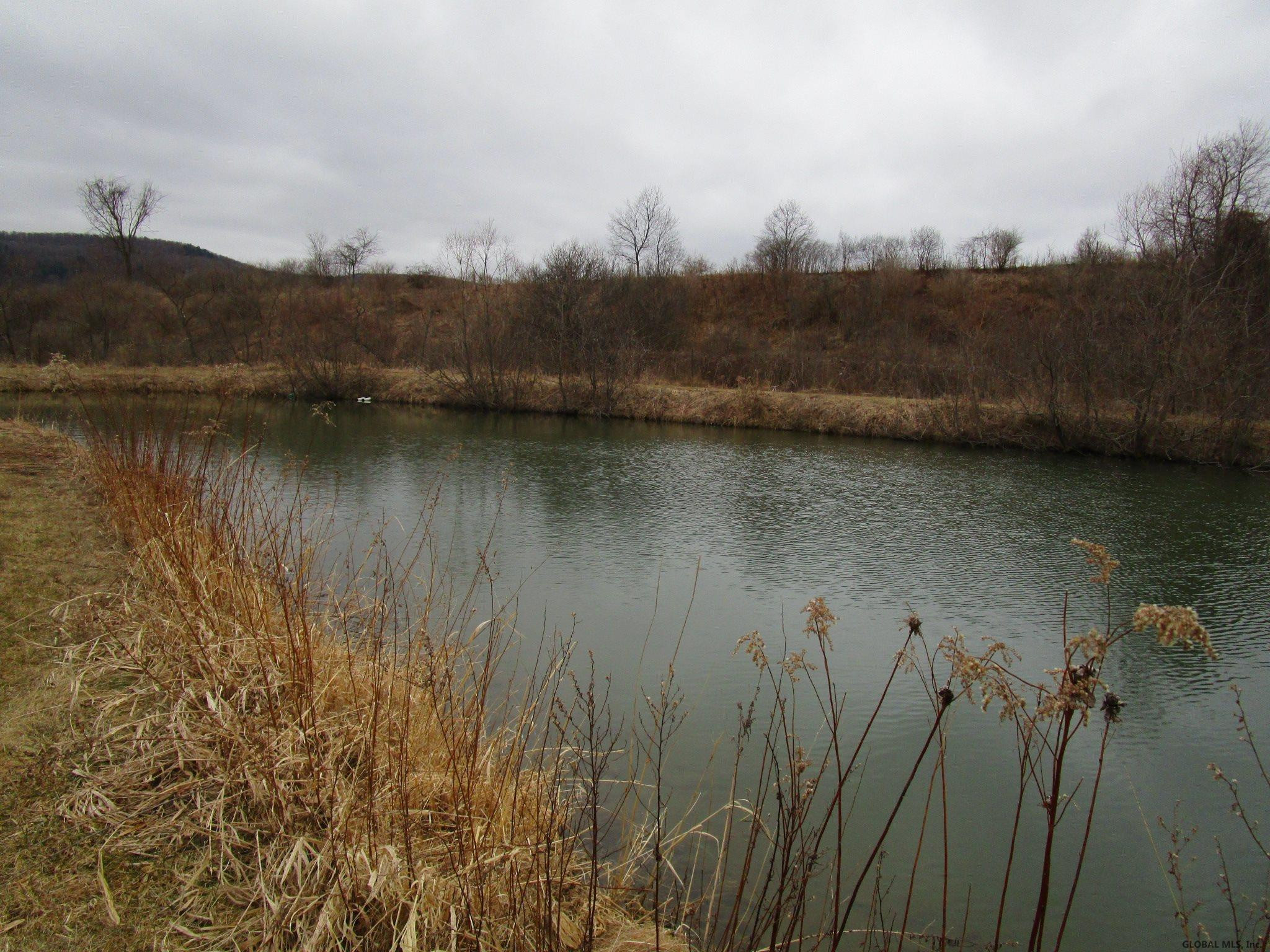 147 Fromire Road Seward, NY 12043 - Photo 24 of 26 Photo 24