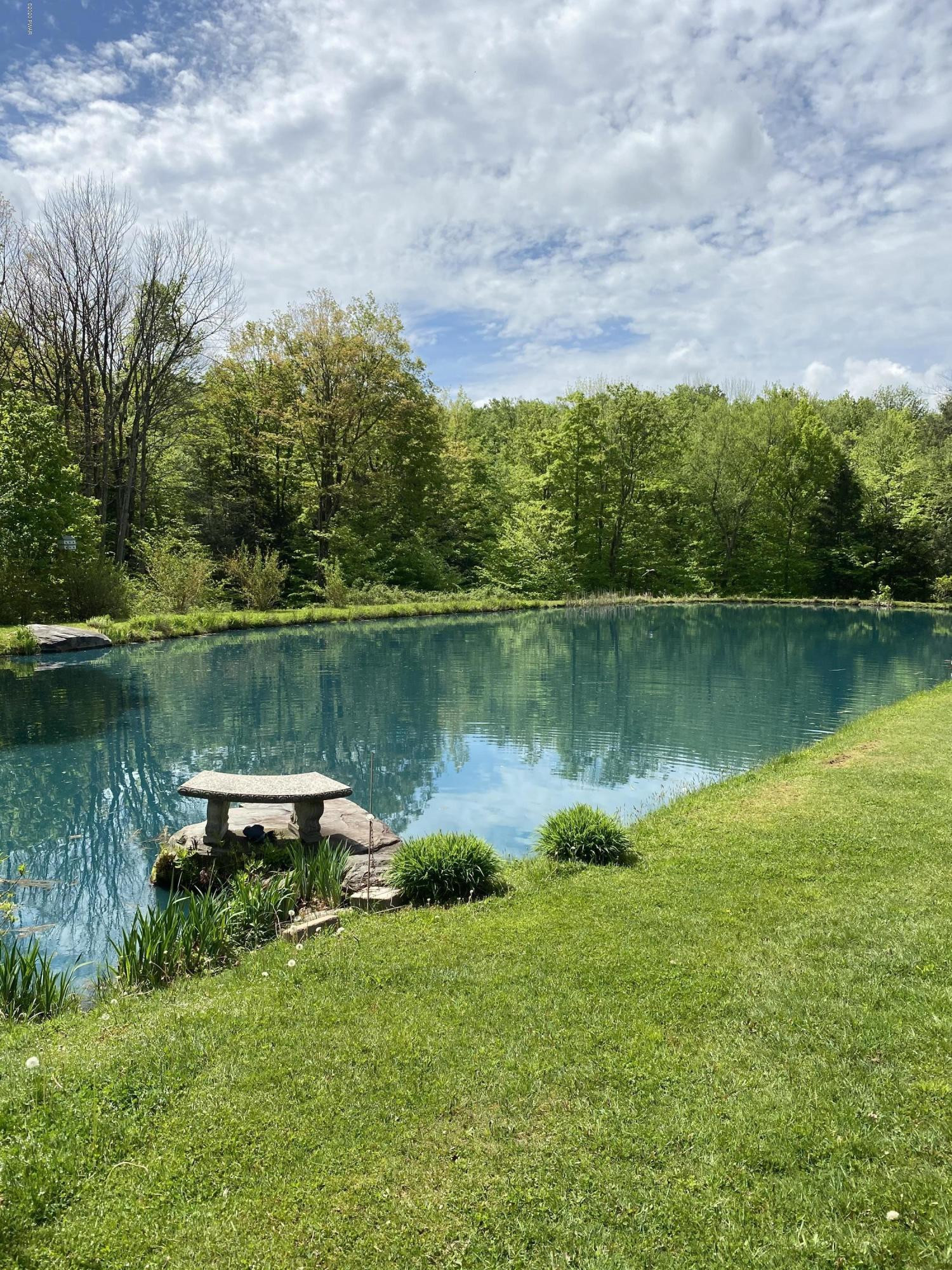 916 Ravnikar Road Forest City, PA 18421 - Photo 42 of 47 Pond