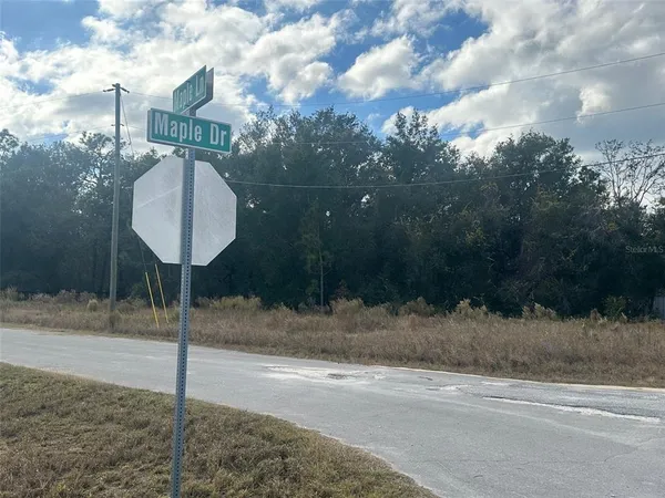 $19,500 | 0 Maple Lane, Ocklawaha, FL 32179