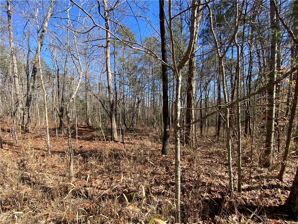 0 Old Yellow Branch Road Mountain Rest, SC 29664 - Photo 1 of 20 Gallery Image 1