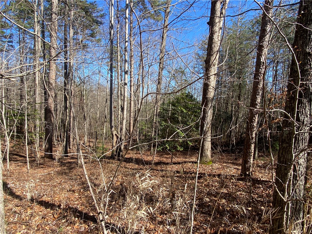 0 Old Yellow Branch Road Mountain Rest, SC 29664 - Photo 11 of 20 Gallery Image 11