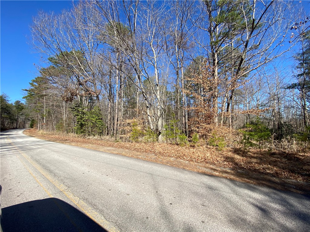 0 Old Yellow Branch Road Mountain Rest, SC 29664 - Photo 12 of 20 Gallery Image 12