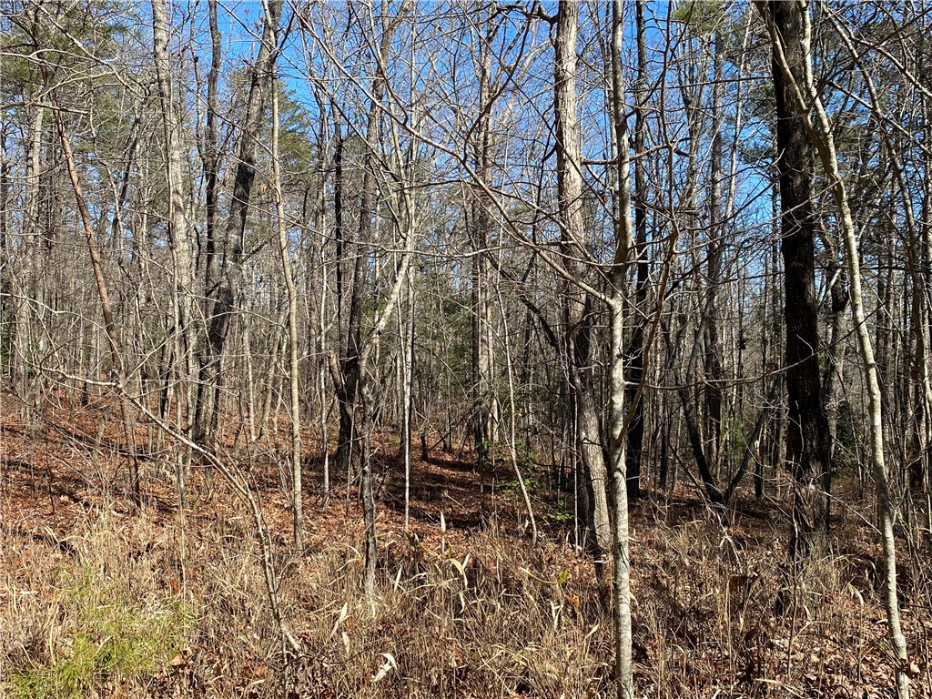 0 Old Yellow Branch Road Mountain Rest, SC 29664 - Photo 13 of 20 Gallery Image 13