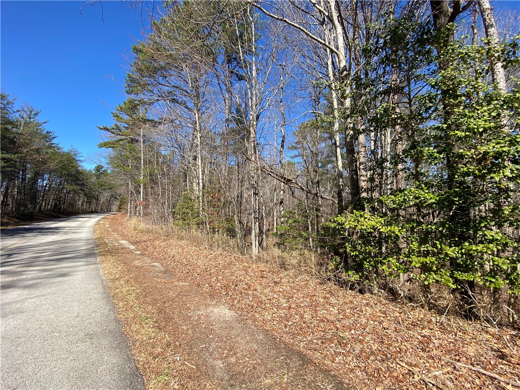0 Old Yellow Branch Road Mountain Rest, SC 29664 - Photo 3 of 20 Gallery Image 3