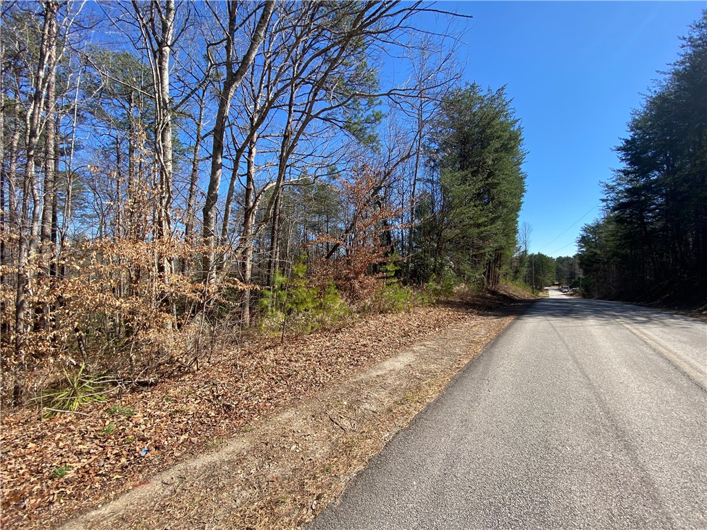 0 Old Yellow Branch Road Mountain Rest, SC 29664 - Photo 4 of 20 Gallery Image 4