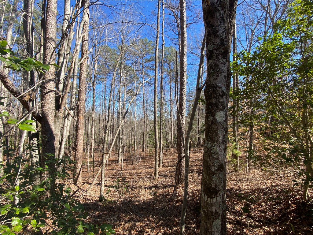 0 Old Yellow Branch Road Mountain Rest, SC 29664 - Photo 5 of 20 Gallery Image 5