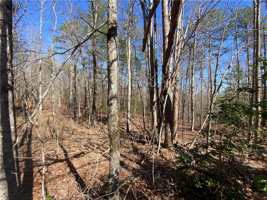 0 Old Yellow Branch Road Mountain Rest, SC 29664 - Photo 6 of 20 Gallery Image 6