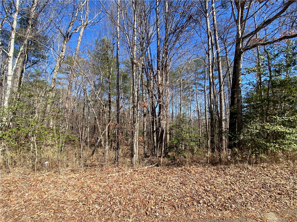 0 Old Yellow Branch Road Mountain Rest, SC 29664 - Photo 7 of 20 Gallery Image 7