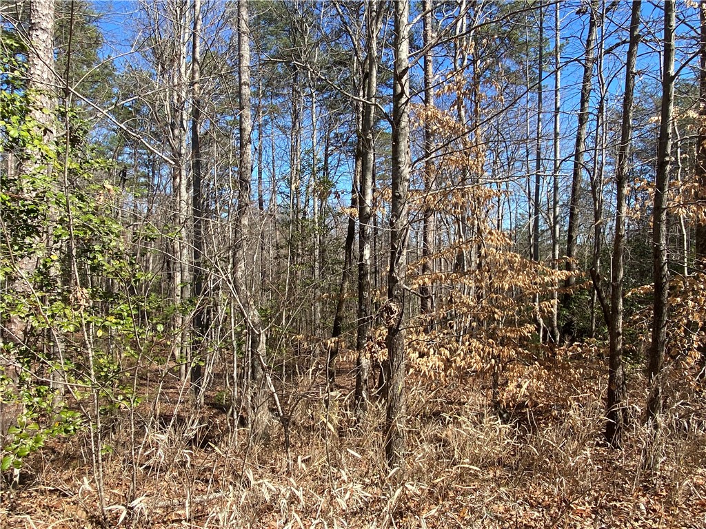 0 Old Yellow Branch Road Mountain Rest, SC 29664 - Photo 8 of 20 Gallery Image 8