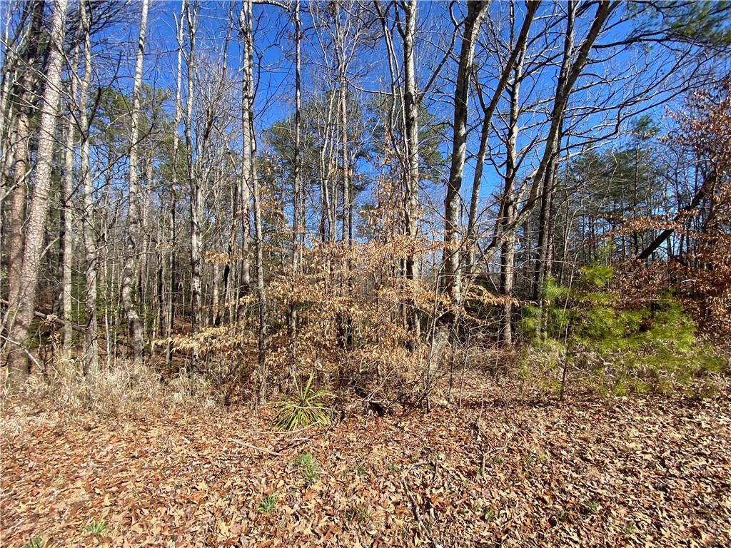 0 Old Yellow Branch Road Mountain Rest, SC 29664 - Photo 9 of 20 Gallery Image 9