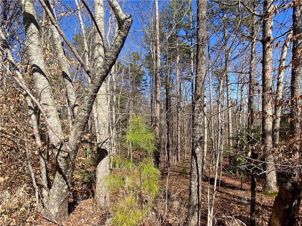 0 Old Yellow Branch Road Mountain Rest, SC 29664 - Photo 10 of 20 Gallery Image 10