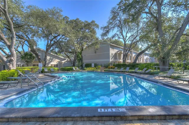 a view of a yard with large tree