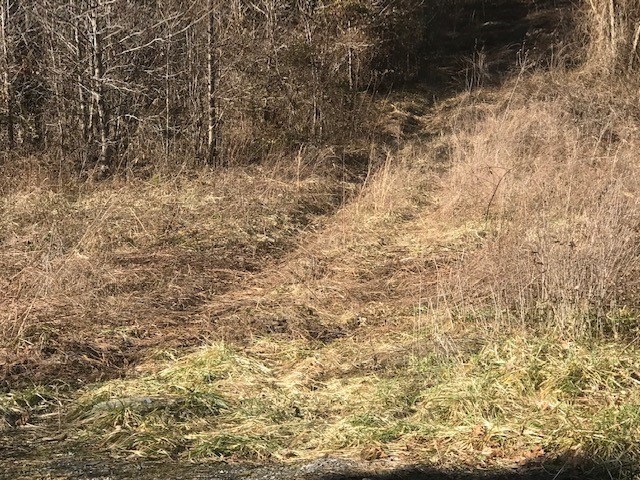 44 Little Cove Church Road Sevierville, TN 37862 - Photo 2 of 8 Gallery Image 2