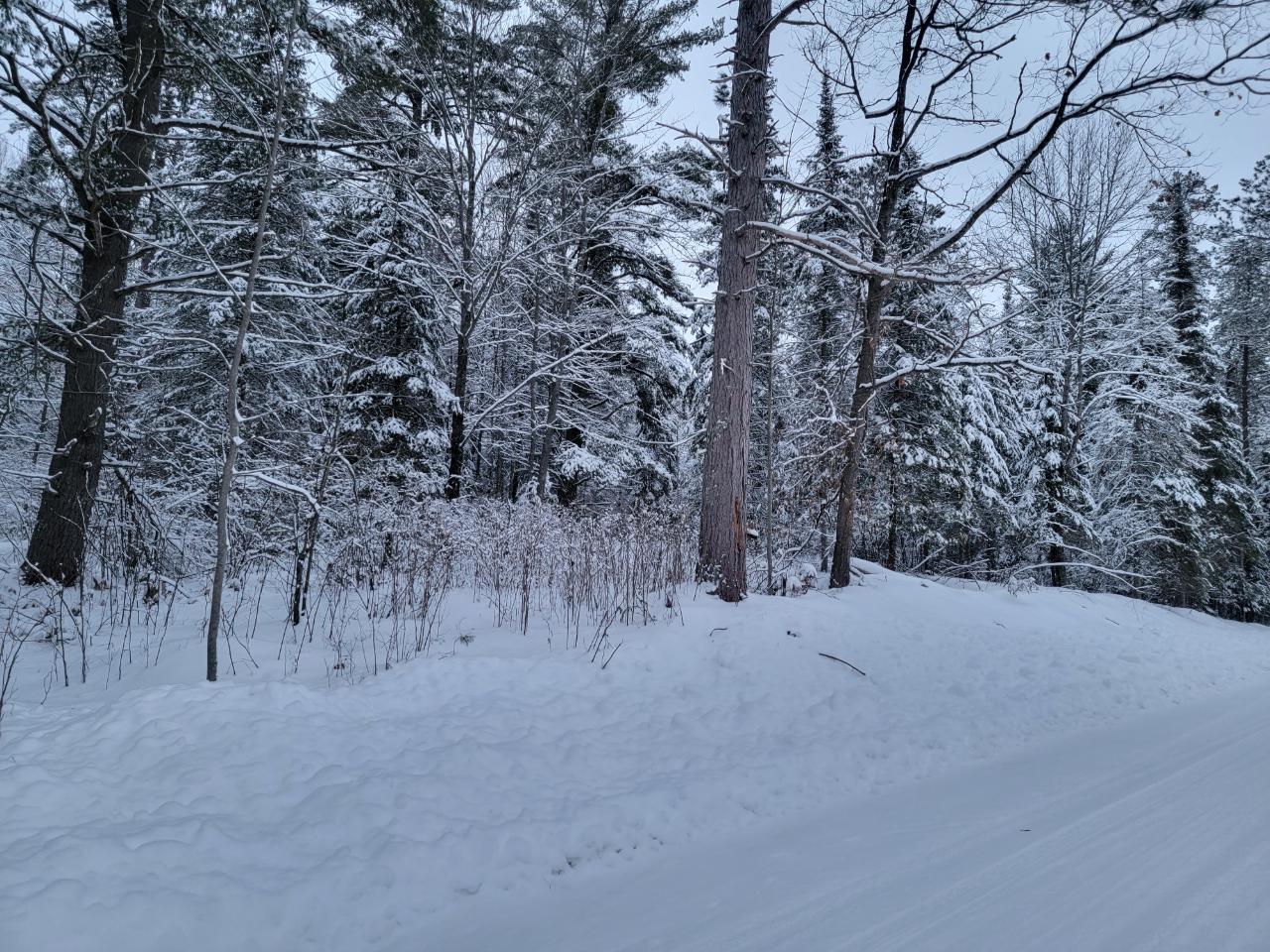 On Pioneer Road Conover, WI 54519 - Photo 23 of 31 Gallery Image 23