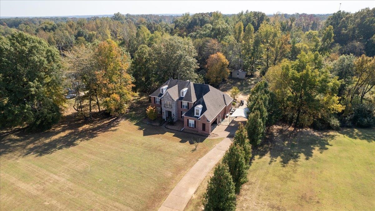 10941 Lubov Road Arlington, TN 38002 - Photo 35 of 39 a view of a forest with a tree
