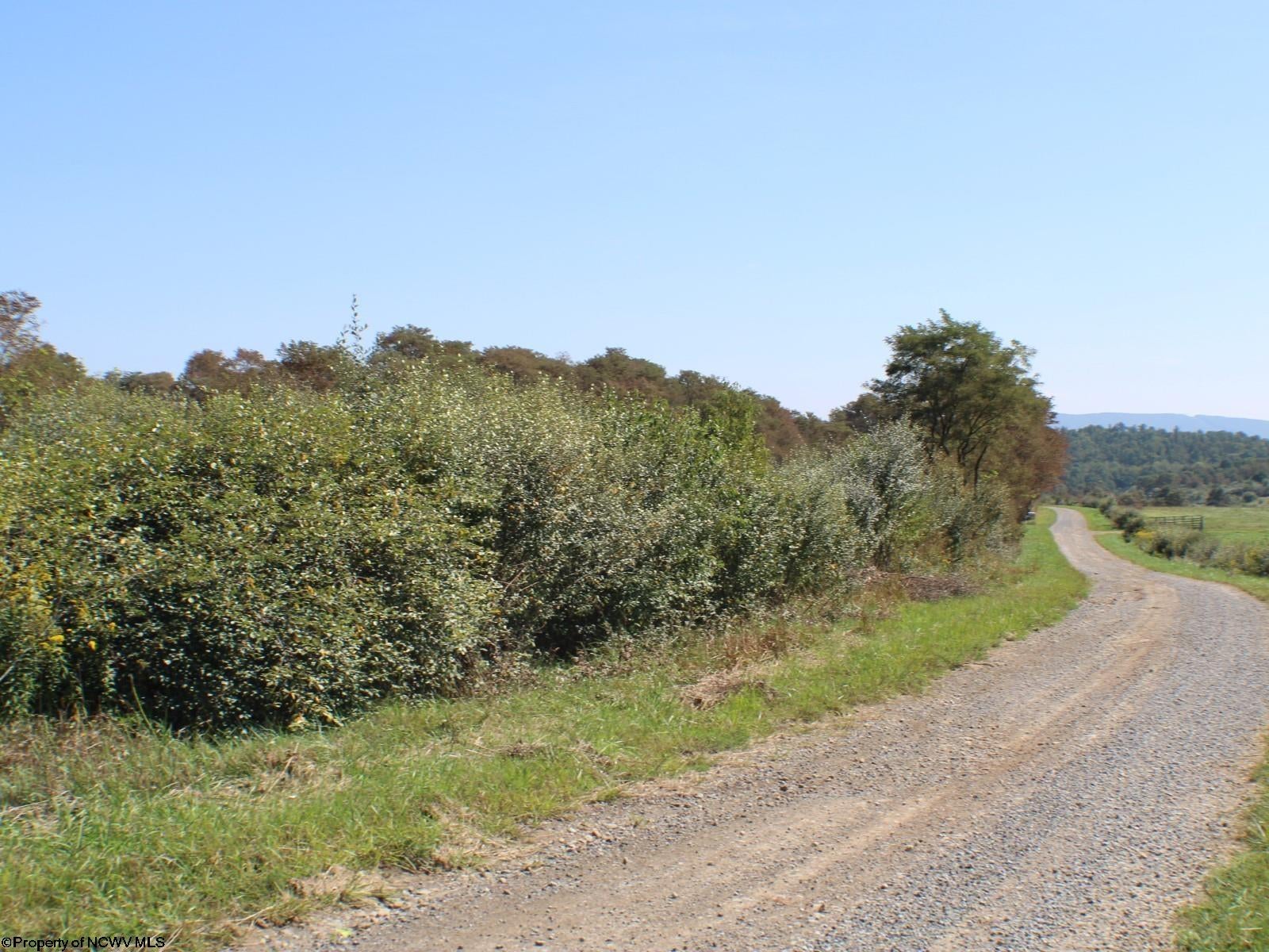 46.959-acres Beech Run Road Albright, WV 26519 - Photo 26 of 29 Gallery Image 26