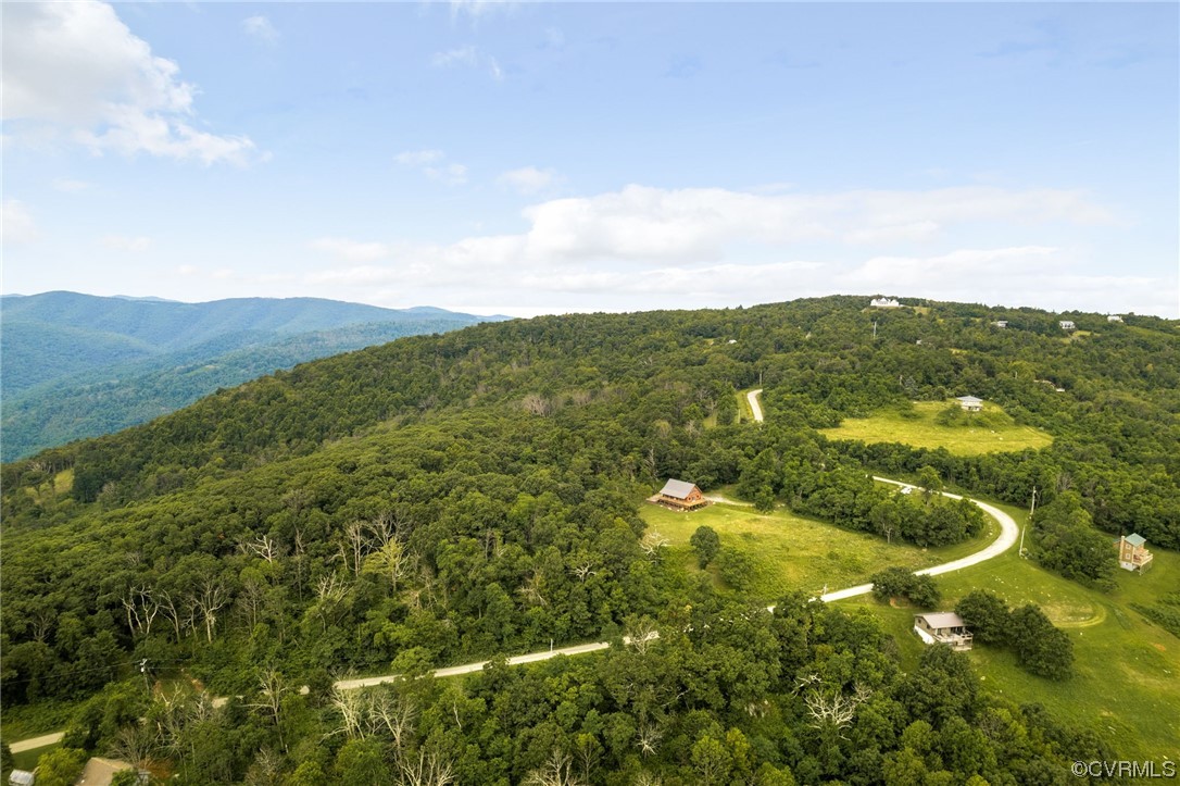 1797 Flattop Mountain Road Free Union, VA 22940 - Photo 8 of 43 Birds eye view of property
