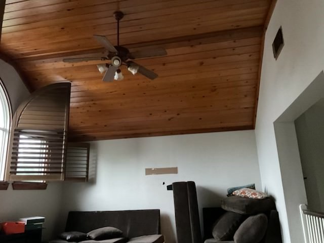 25707 White Springs Court Spring, TX 77373 - Photo 16 of 21 Gameroom ceiling