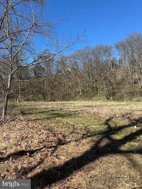 No # Middle Road Middletown, VA 22645 - Photo 10 of 10