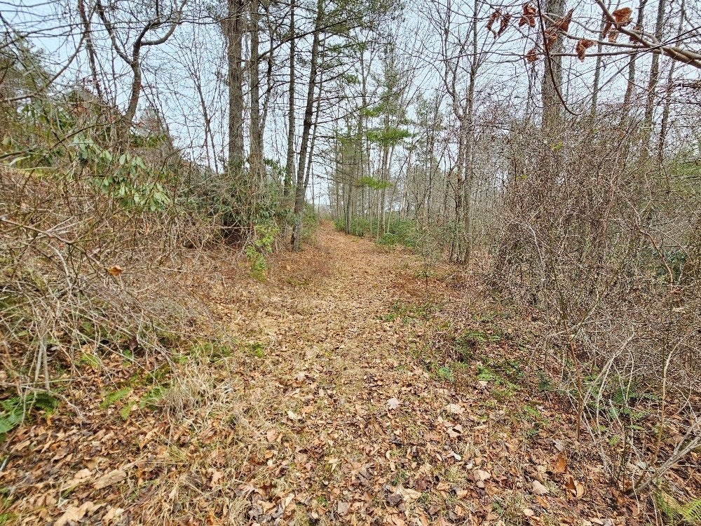 Tbd Birchtree Road Hillsville, VA 24343 - Photo 10 of 15 Gallery Image 10