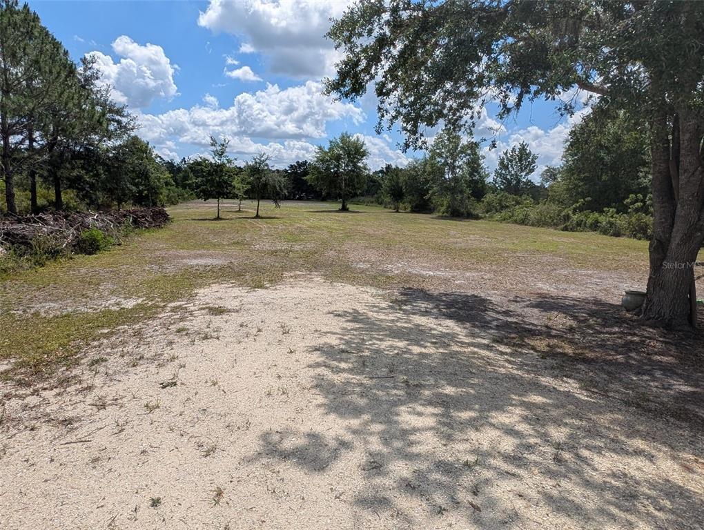 Mcclellan Road Frostproof, FL 33843 - Photo 4 of 5 a view of a yard with large trees