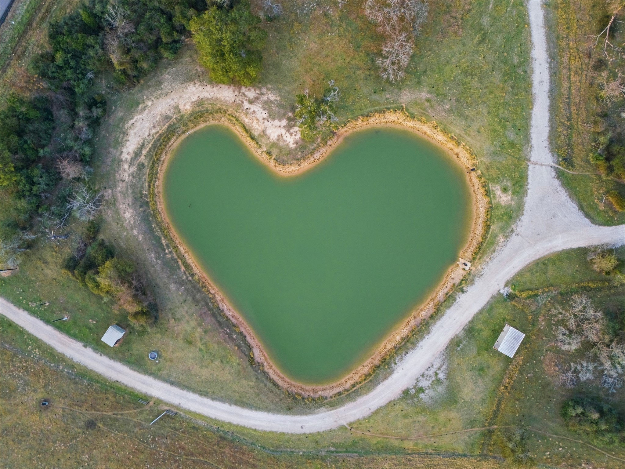 25062 Highway 159 East Hempstead, TX 77445 - Photo 19 of 49