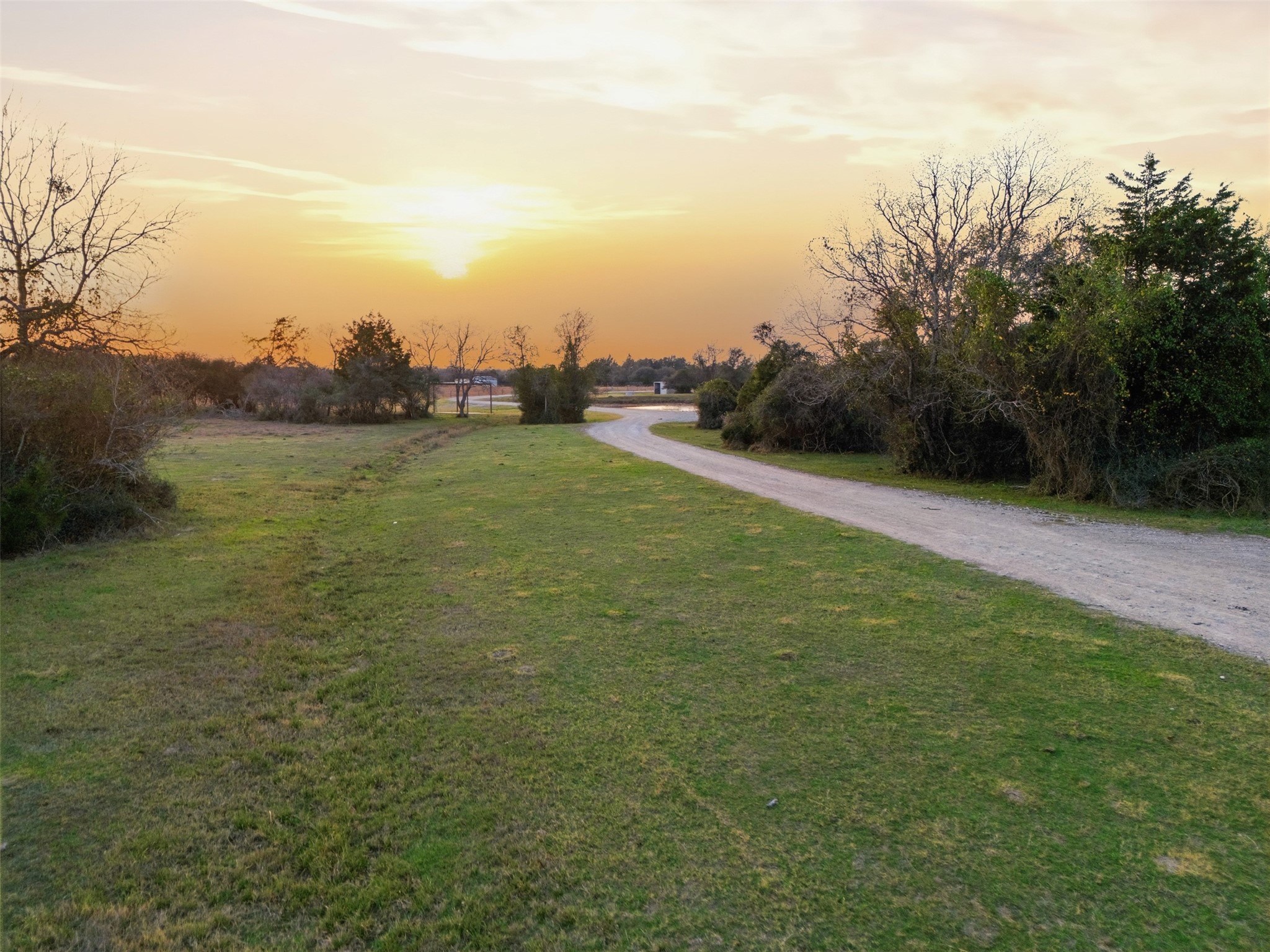 25062 Highway 159 East Hempstead, TX 77445 - Photo 21 of 49 a view of a field with an trees in the background
