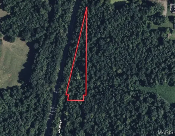 $15,000 | 0 Lincoln Street, Mounds, IL 62964