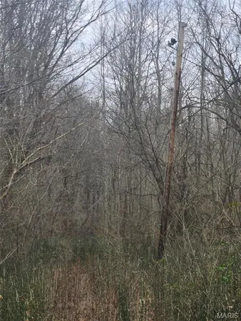 $15,000 | 0 Lincoln Street, Mounds, IL 62964