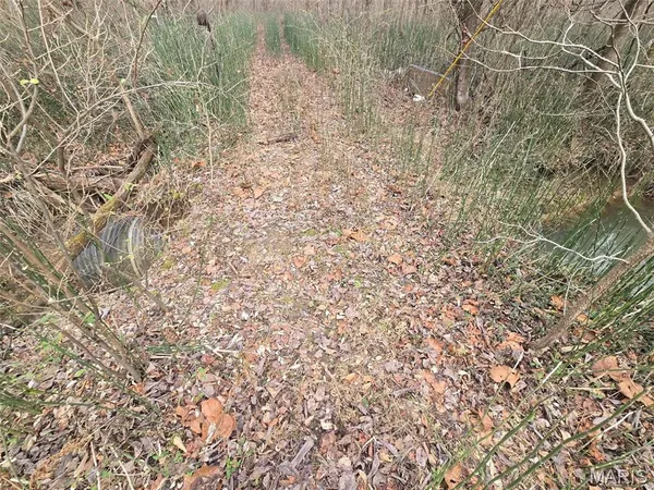 $15,000 | 0 Lincoln Street, Mounds, IL 62964