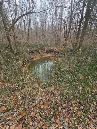 $15,000 | 0 Lincoln Street, Mounds, IL 62964