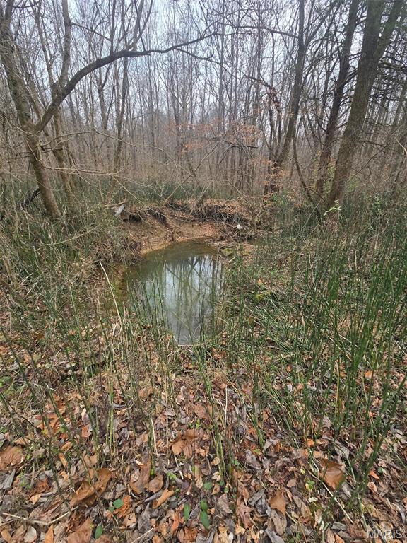 0 Lincoln Street Mounds, IL 62964 - Photo 5 of 9