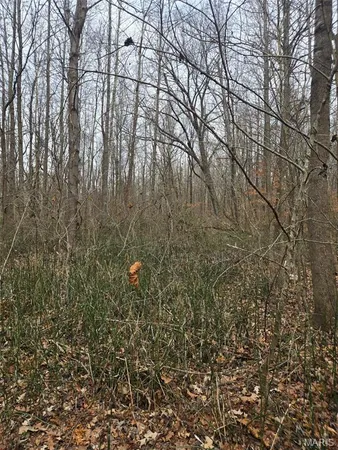 $15,000 | 0 Lincoln Street, Mounds, IL 62964