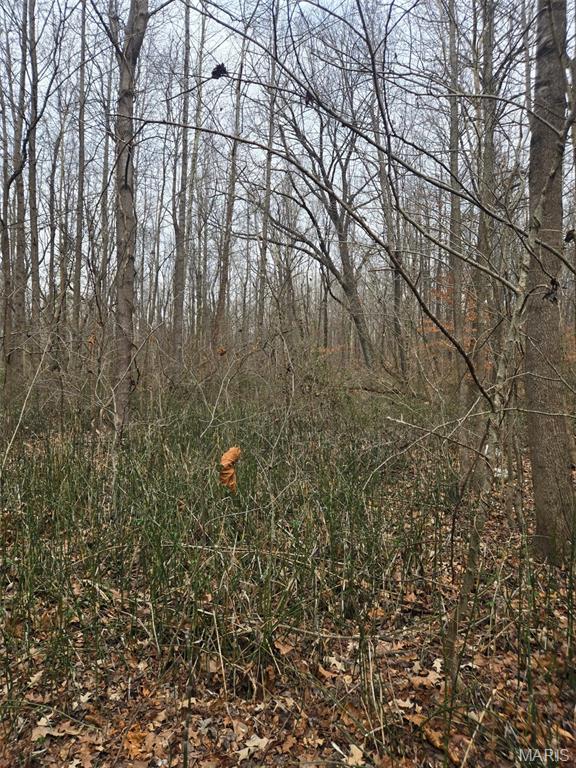 0 Lincoln Street Mounds, IL 62964 - Photo 6 of 9