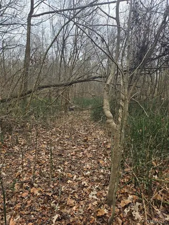 $15,000 | 0 Lincoln Street, Mounds, IL 62964