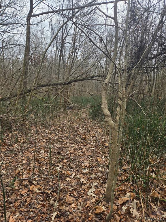 0 Lincoln Street Mounds, IL 62964 - Photo 7 of 9