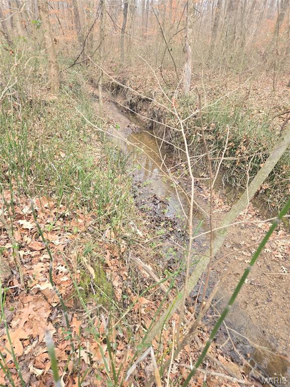 0 Lincoln Street Mounds, IL 62964 - Photo 8 of 9