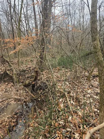 $15,000 | 0 Lincoln Street, Mounds, IL 62964