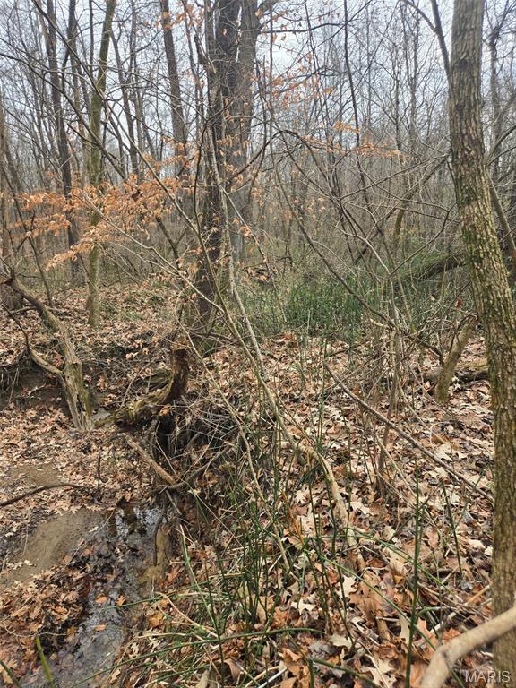 0 Lincoln Street Mounds, IL 62964 - Photo 9 of 9