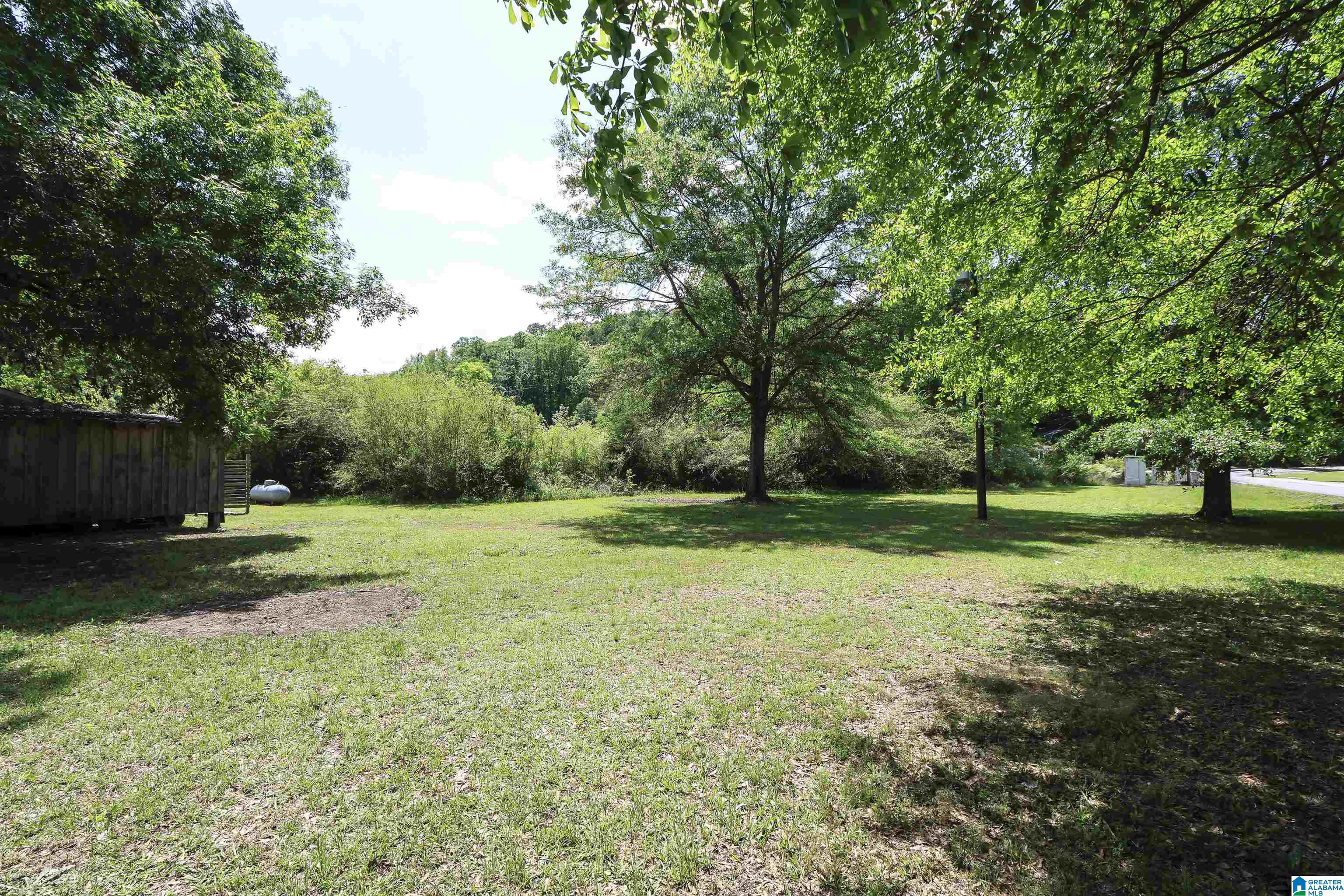 3615 Roy Webb Road Jacksonville, AL 36265 - Photo 25 of 45
