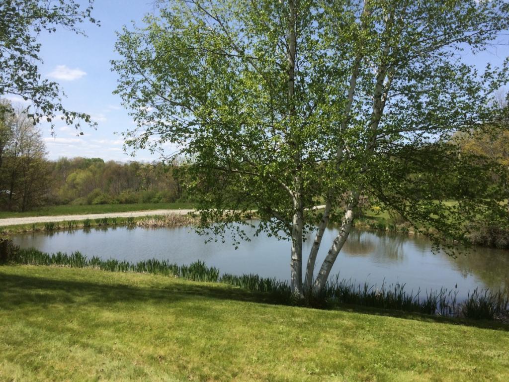 613 Gary Hunt Road Owego, NY 13827 - Photo 2 of 24 Gallery Image 2