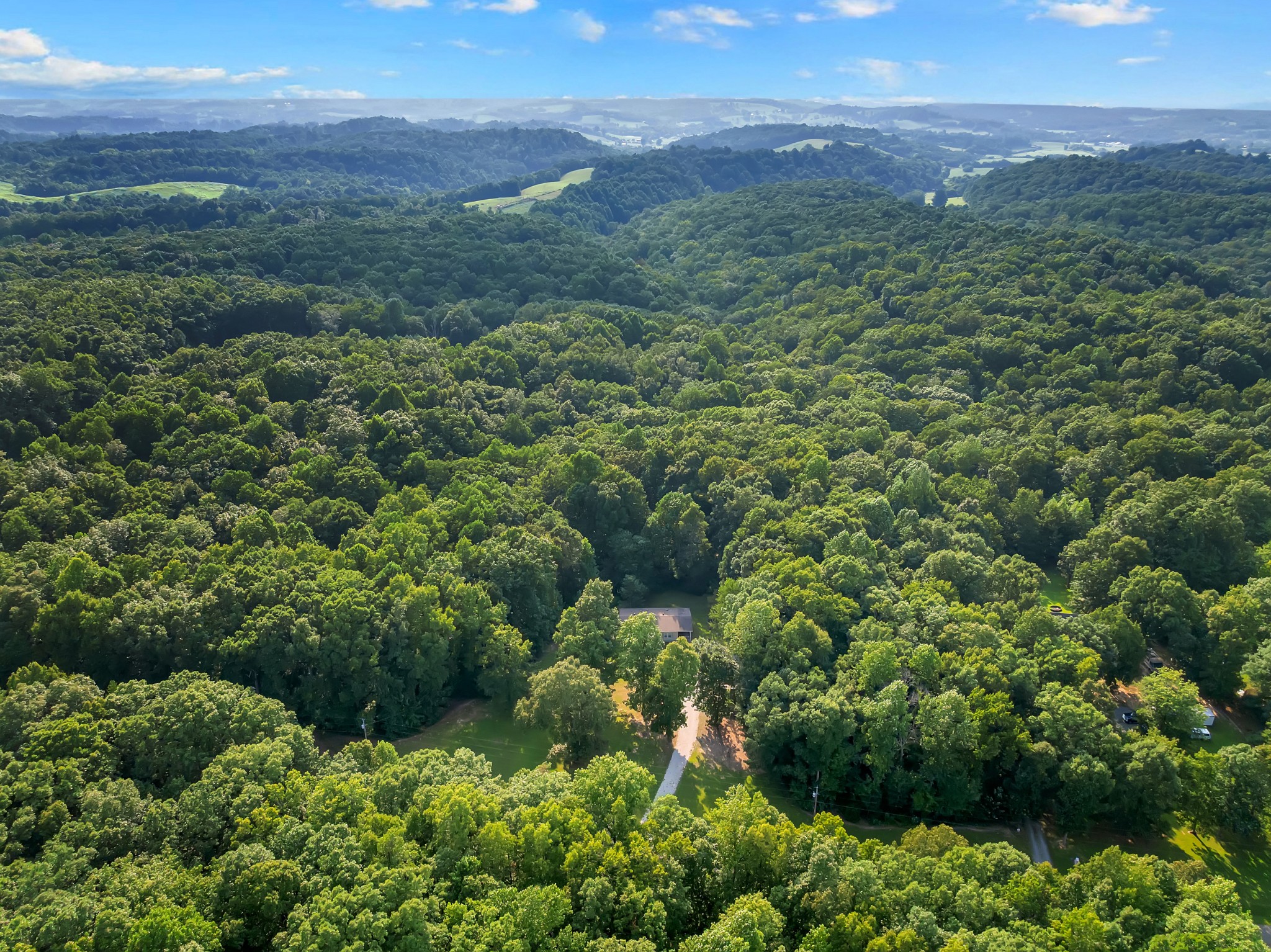 155 Troxler Road Wartrace, TN 37183 - Photo 52 of 55 Gallery Image 52