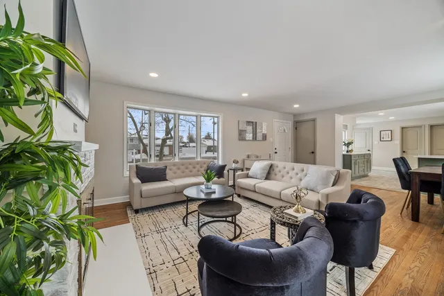 a living room with furniture and a potted plant
