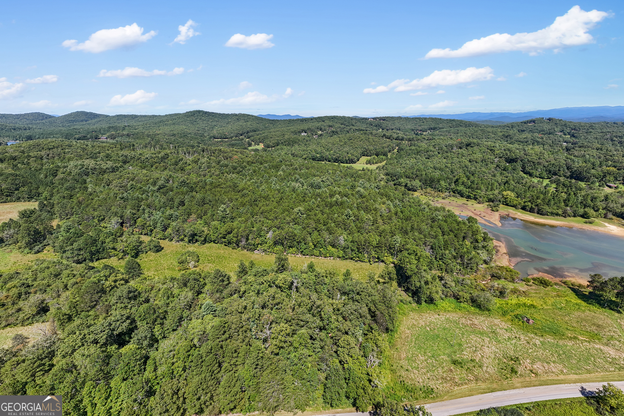 1489 Boy Scout Road Blairsville, GA 30512 - Photo 14 of 43 an aerial view of residential houses with outdoor space and trees