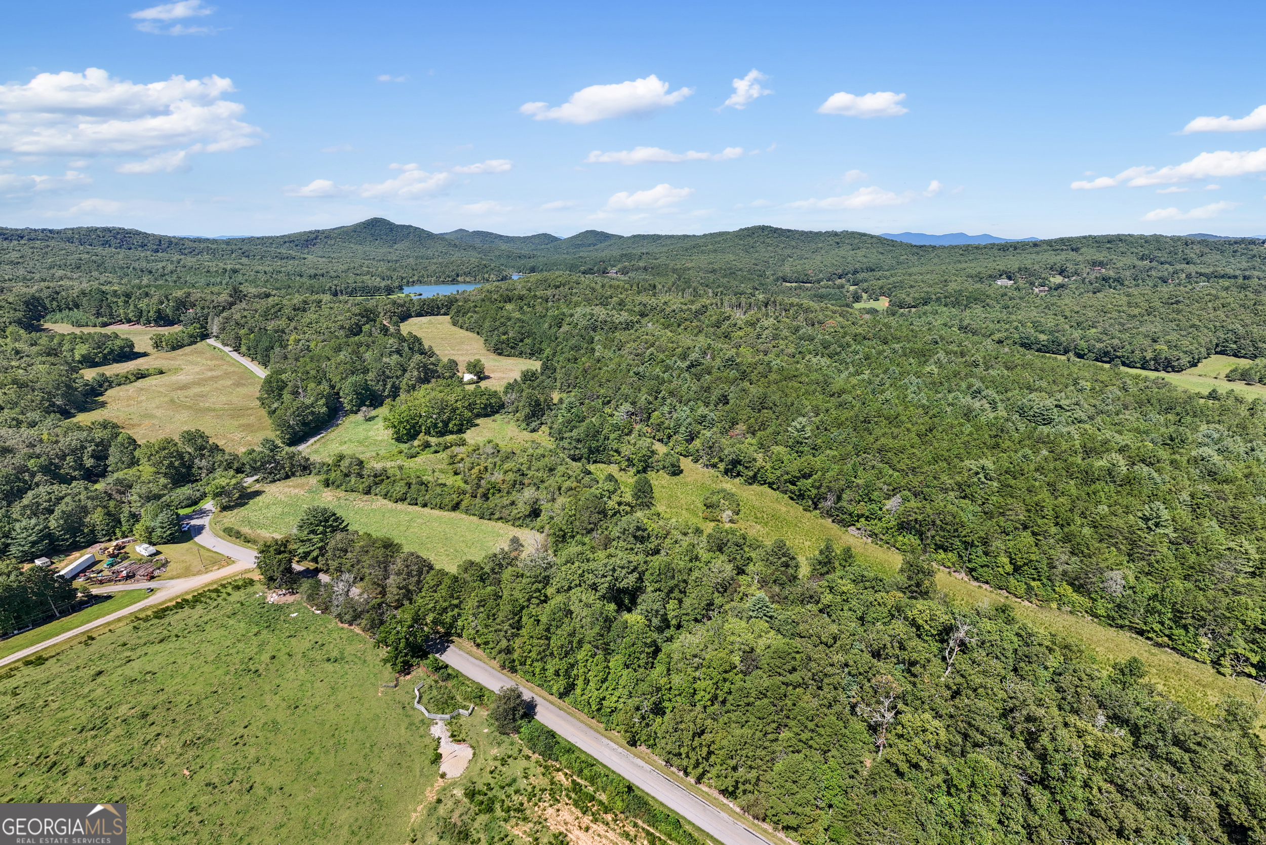 1489 Boy Scout Road Blairsville, GA 30512 - Photo 15 of 43 a view of a city with lush green forest