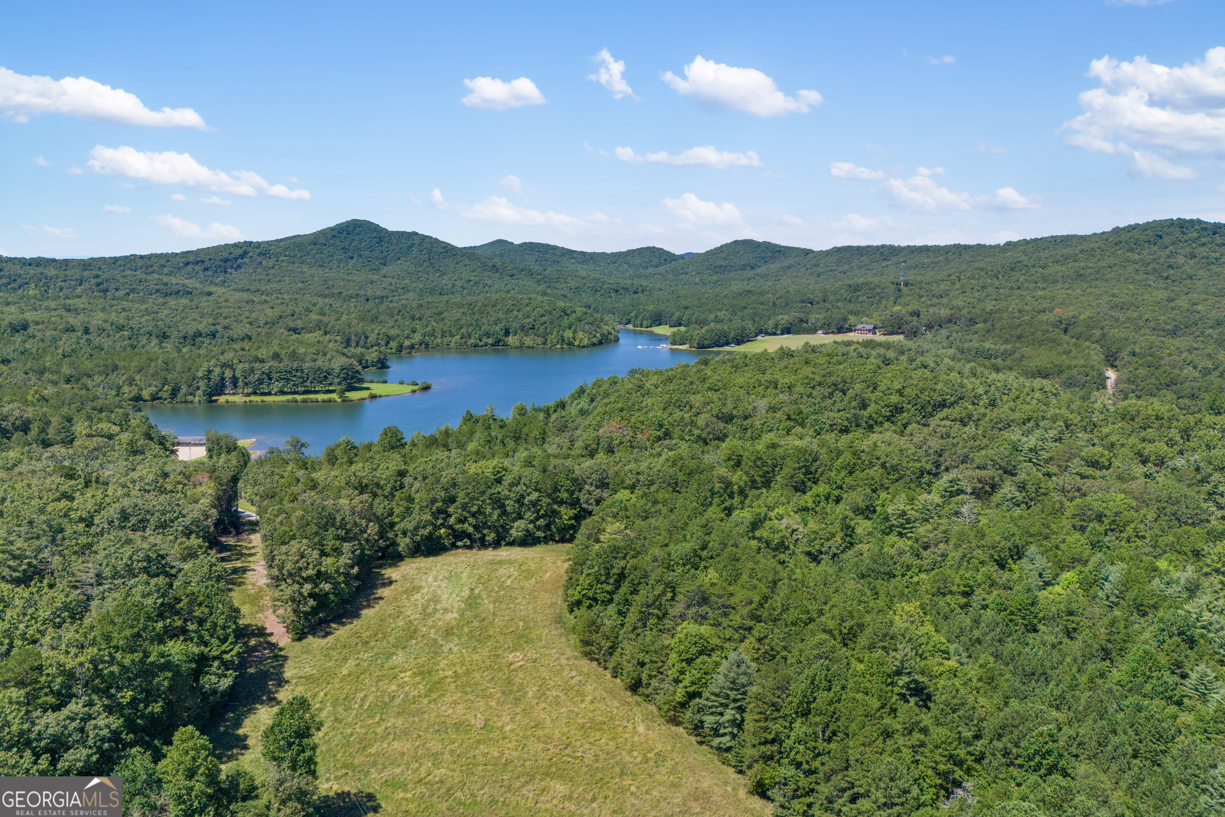 1489 Boy Scout Road Blairsville, GA 30512 - Photo 16 of 43 a view of a lush green hillside and a houses